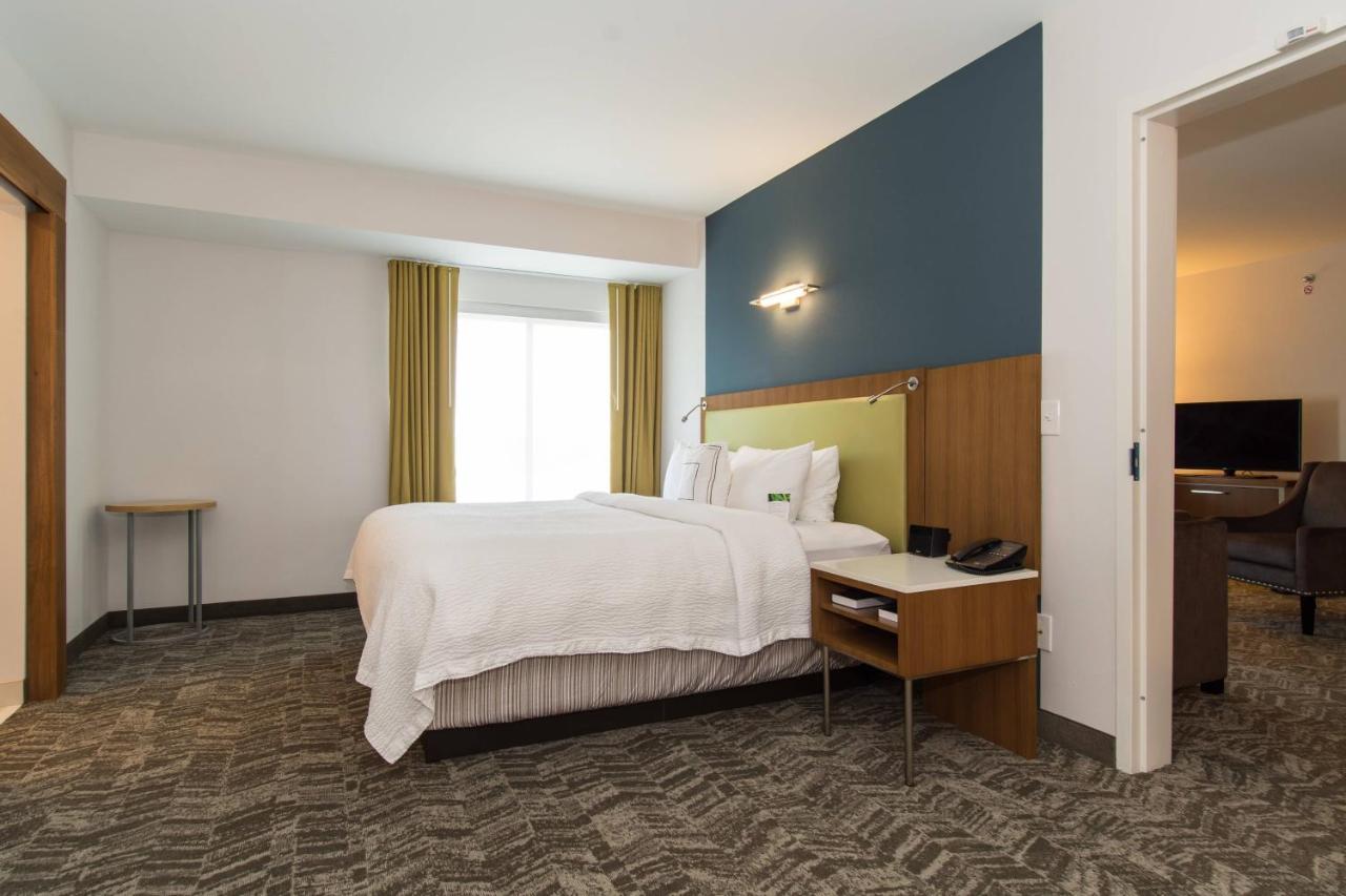 Springhill Suites By Marriott Charlotte Ballantyne Extérieur photo