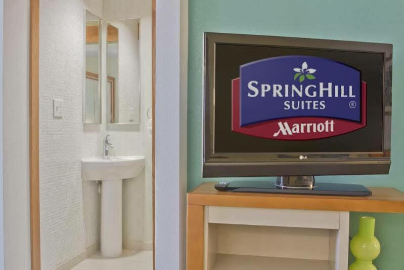 Springhill Suites By Marriott Charlotte Ballantyne Extérieur photo